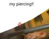 Pro Body Piercing Studio