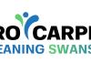 Pro Carpet Cleaning Swansea 