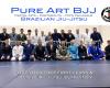 Pure Art BJJ Portsmouth Brazilian Jiu-Jitsu / MMA Martial Arts & Self Defence