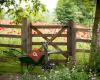 Queen Thorne, landscape gardeners in Somerset, Dorset, Yeovil, Sherborne