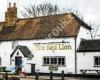 Red Lion
