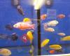 Reef 2 Rainforest | Aquatic and Reptile store