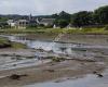 River Ythan Estuary