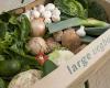 Riverford Organic Veg Box Delivery - Somerset East