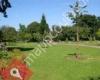 Roath Mill Gardens & Waterloo Gardens