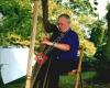 Robert Pacey Wedding Harpist