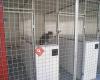 Rosegate Kennels, Cattery and Small Animal Boarding