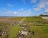 Shorefields Caravan Park