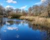 Six Mile Water Park Duck Pond Observation Deck