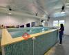 South Coast Hydrotherapy Centre