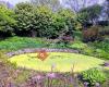 Springmead Gardens, Brightlingsea