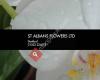 St Albans Flowers Ltd