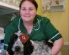 St George's Vets - Merry Hill Surgery