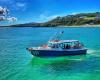 St Ives Boats 