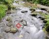 St Nectan's Glen