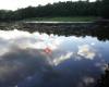 Sutton Park, Keeper's Pool