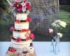 Suzi Humphries Cake Design