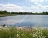 Testwood Lakes Nature Reserve