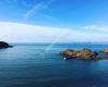The Cove