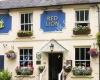 The Red Lion