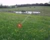 The Willows Natural Burial Ground