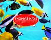 Thomas Hays Pet Store
