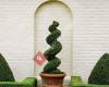 Topiary House