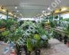 Trade Timber Supplies Flowers & Plants