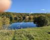 Treeton Dyke Angling Club