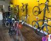 Trifit Cycles