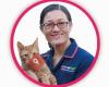 Vets4Pets Dagenham