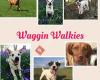 Waggin Walkies