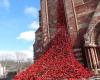 Weeping Window