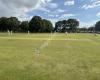 West Bergholt Cricket Club