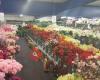 Whittingtons Silk Flower & Plant Centres - Waltham Cross