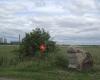 Wigg Island Community Park and Visitor Centre