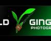 Wild Ginger Photography Ltd