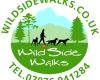 wild side walks