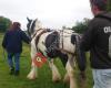 WRNS Equestrian Laundry